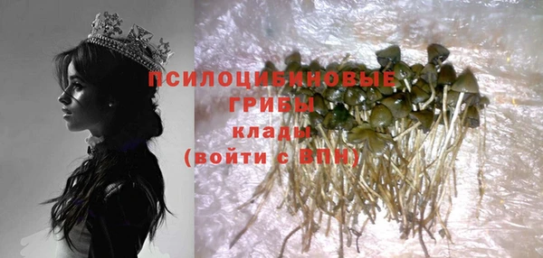 мет Богданович