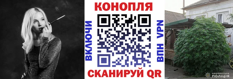 Бошки марихуана тримм  Будённовск 